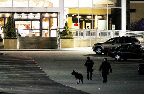 tiroteio garden state