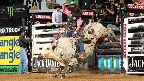 peoes brasileiros (3)