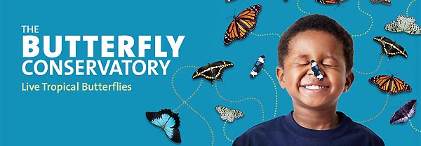 agenda cultural ed1707 20141127 (1)