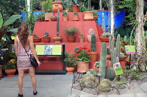 jardim botanico ny frida kahlo (3)
