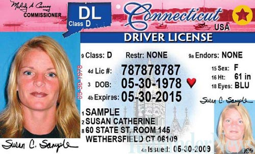 Connecticut-driver-license