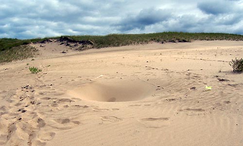 misteriosos-buracos-na-areia