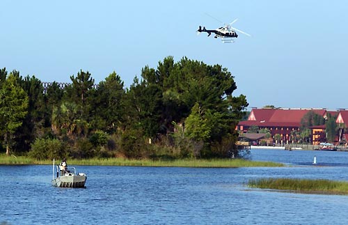 alligator jacare morte disney florida (2)